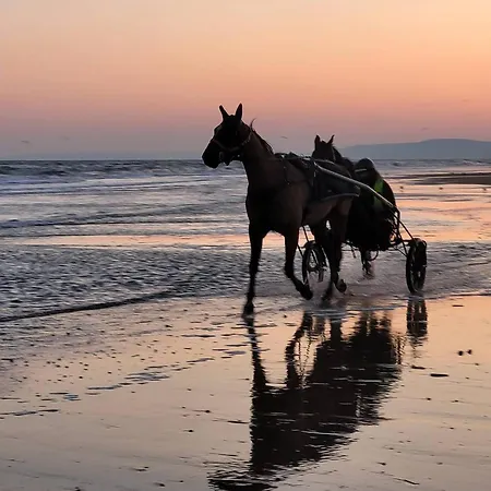 Sejour Cotier A Merville-franceville Pour 4 Personnes, Wifi, Parking - Fr-1-788-72 * 玛维尔弗朗斯维尔