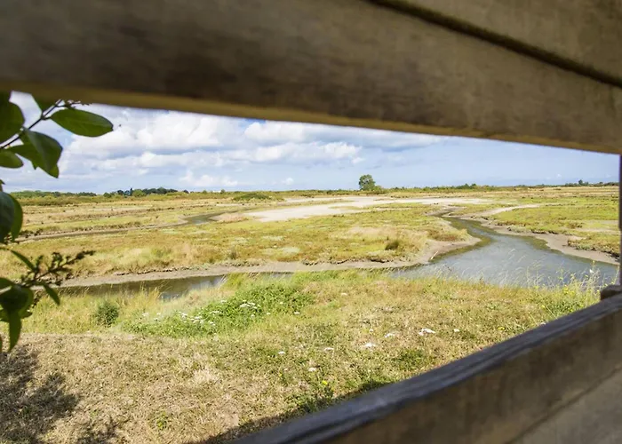 Sejour Cotier A Merville-franceville Pour 4 Personnes, Wifi, Parking - Fr-1-788-72 公寓 *