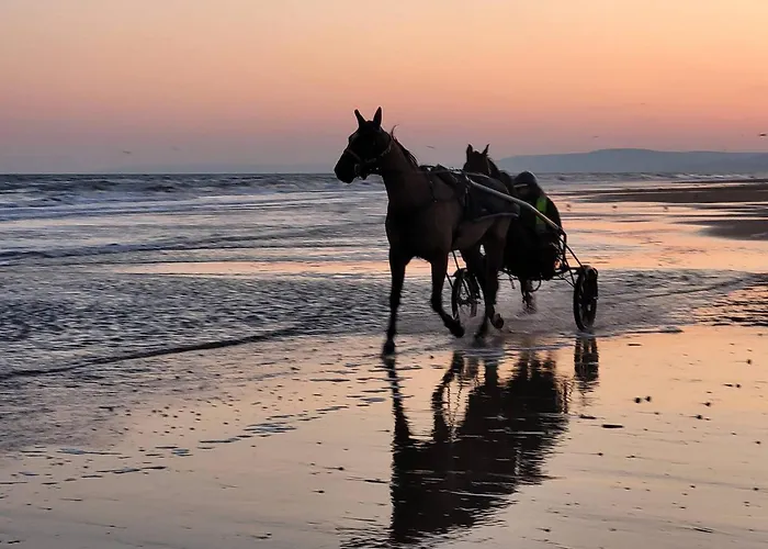 Sejour Cotier A Merville-franceville Pour 4 Personnes, Wifi, Parking - Fr-1-788-72 * 玛维尔弗朗斯维尔